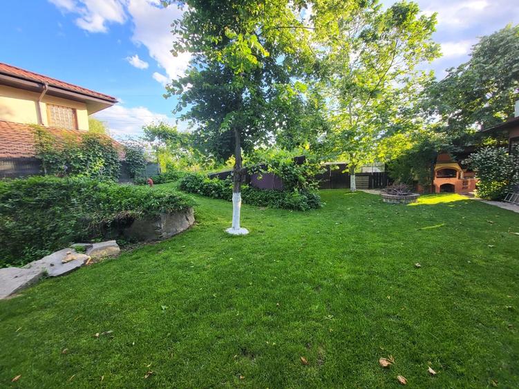 CASA P+1 ÎN BALOȚEȘTI – LÂNGĂ PĂDURE, TEREN 700 MP, LIVADĂ, CRAMĂ, BECI ȘI CURTE - 21