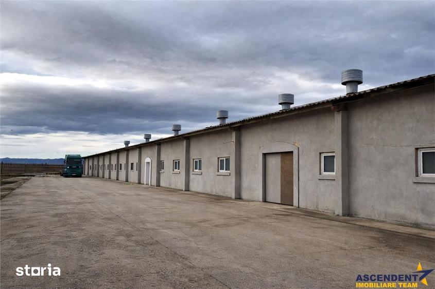 Spațiu comercial, de 800 mp, în Feldioara