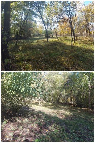 Teren de 3500 mp, în Berevoești