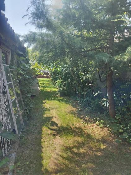Casă cu Teren 3500 Mp în Central