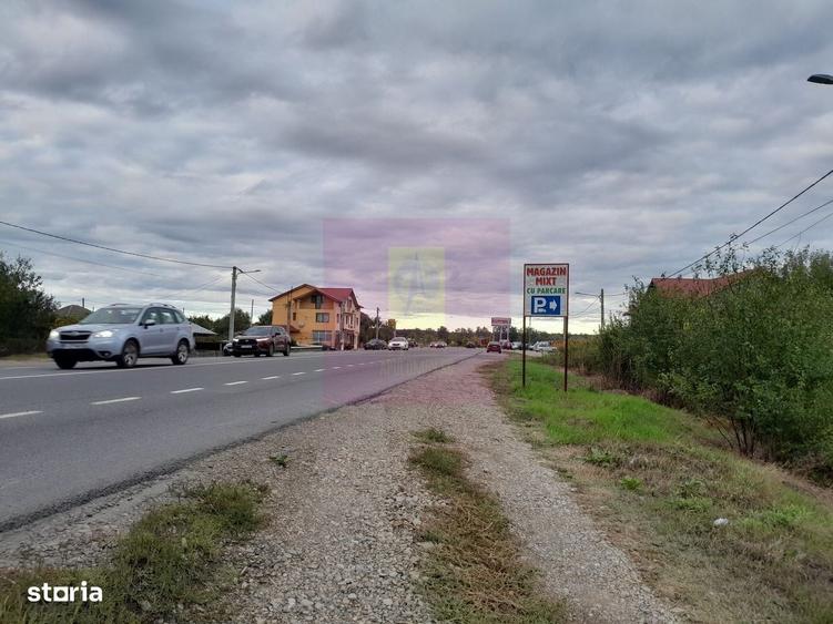 Spațiu comercial, în Manasia
