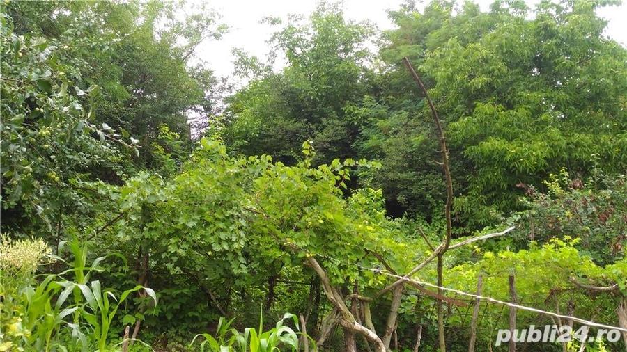Casă cu 4 camere cu Teren 1339 Mp în Bârlad