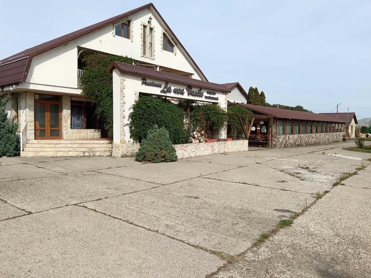 Hotel/Pensiune, de 25 mp, în Bădeana