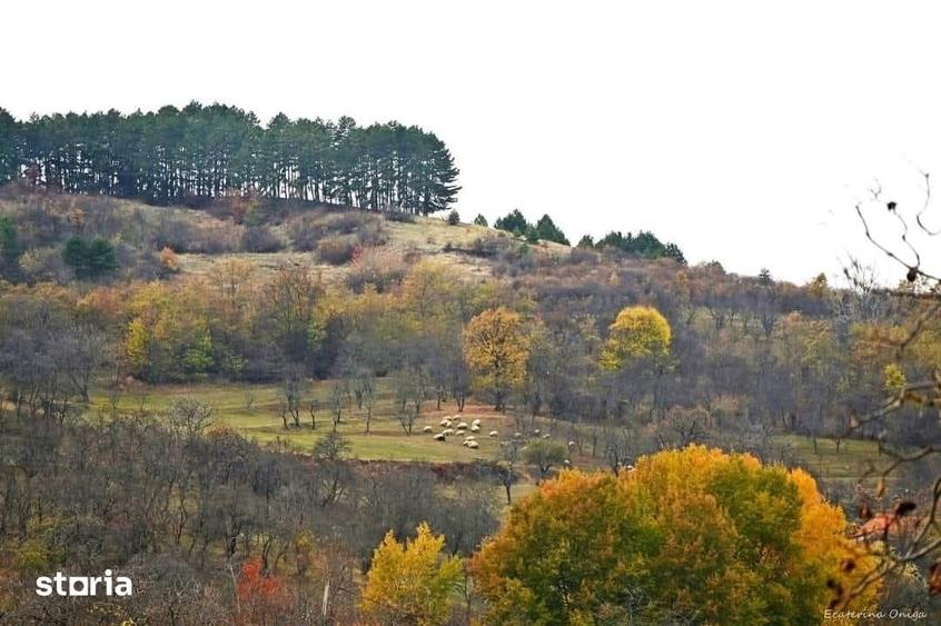Teren de 7000 mp, în Cetate