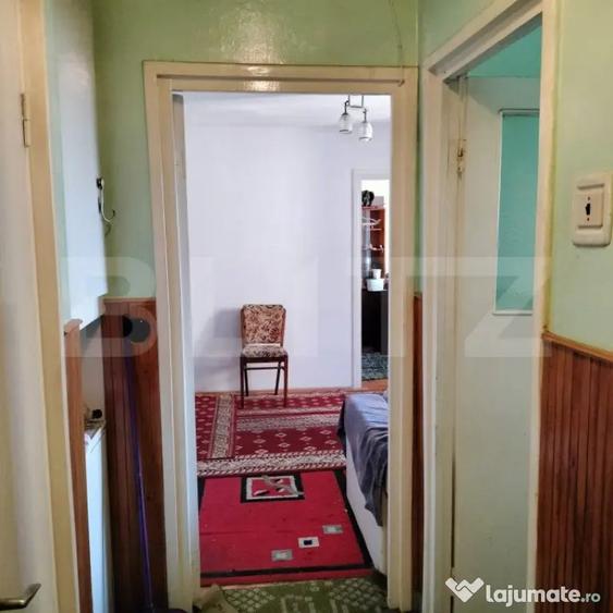 Apartament cu 2 camere semidecomandat, mobilat în Mureșeni