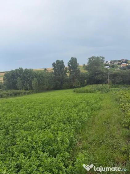 Casă cu 2 camere cu Teren 2100 Mp în Bălcăuți