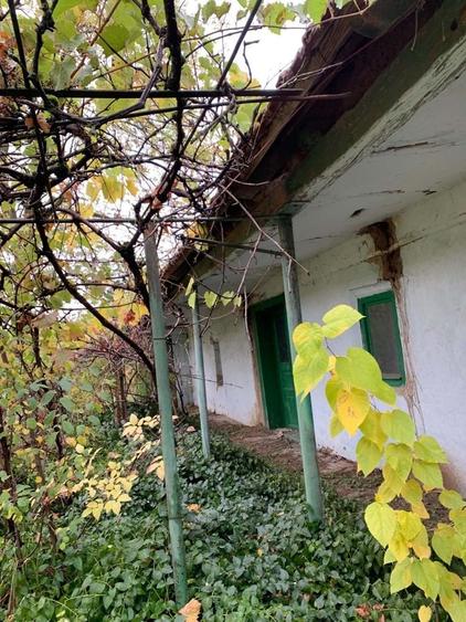 Casă cu 3 camere în Central