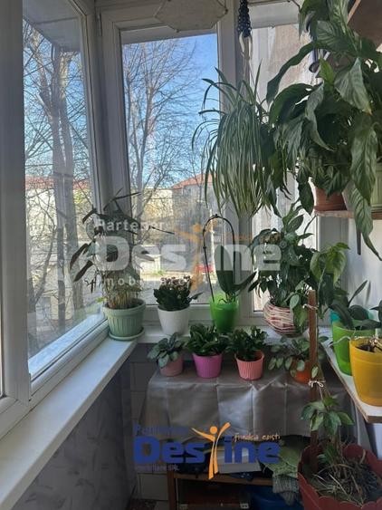 Apartament 2 camere, zona excelenta, Calea Aradului, Timisoara - 13