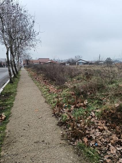 Spațiu comercial, în Movilița