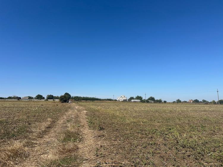 Teren Construcții extravilan de 10000 mp, în Tuzla