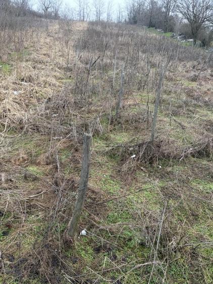 Teren Construcții extravilan de 700 mp, în Filiași