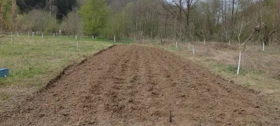Teren de 3100 mp, în Boz
