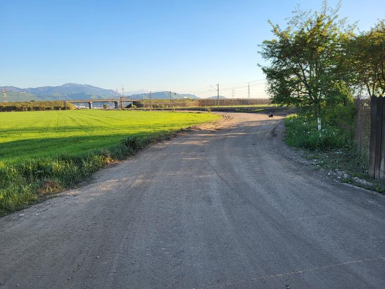 Teren Construcții intravilan de 10280 mp, în Rulmentul