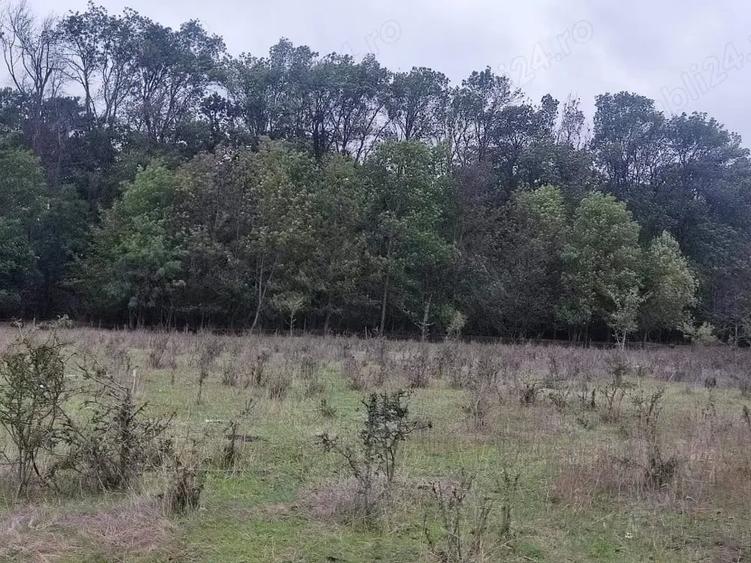 Teren de 950 mp, în Central
