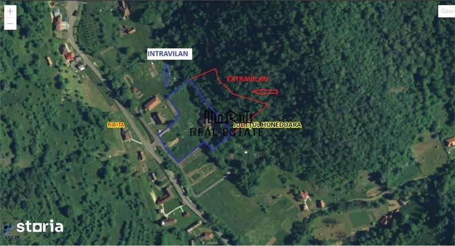 Casă cu 4 camere cu Teren 9563 Mp în Dumbrava
