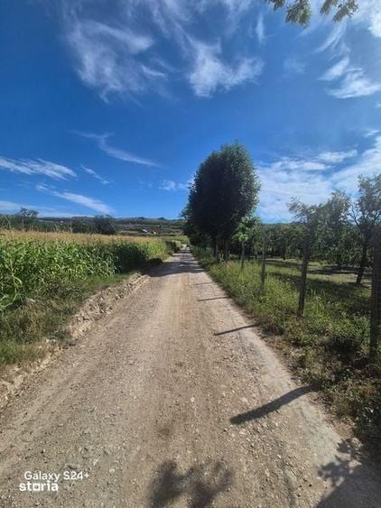 Teren de 1875 mp, în Galda de Jos