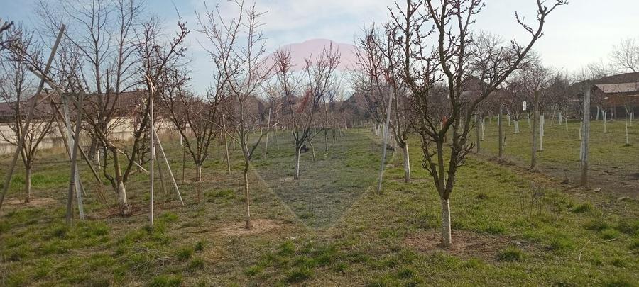 Teren Construcții intravilan de 2954 mp, în Vladimirescu