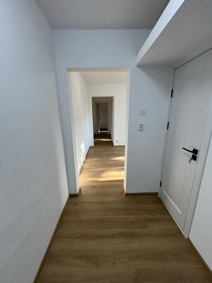 Apartament cu 3 camere în Ostroveni