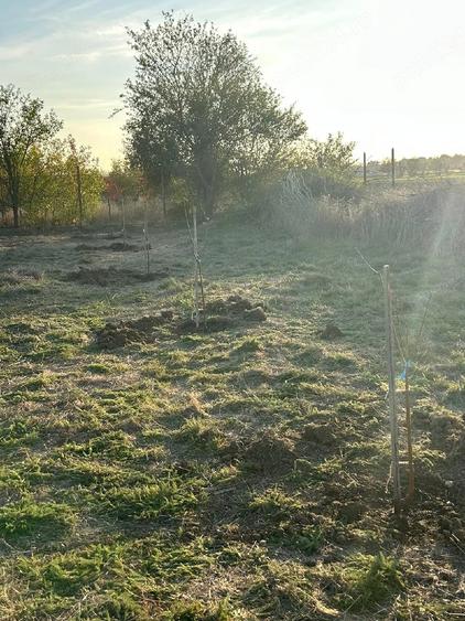 Teren de 920 mp, în Pruni