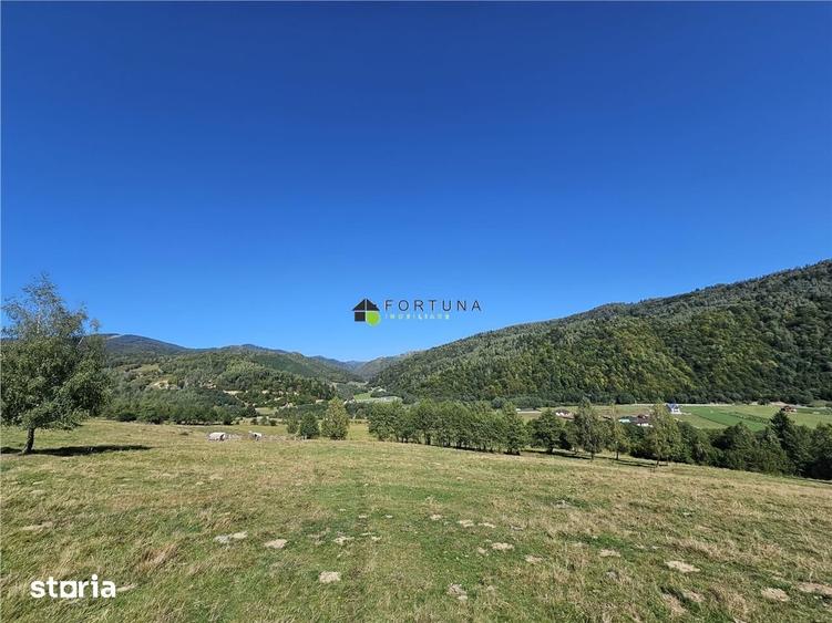 Teren de 21432 mp, în Plaiul Foii
