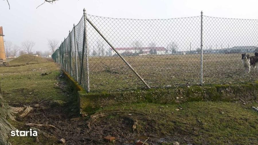 Teren de 15000 mp, în Tinca