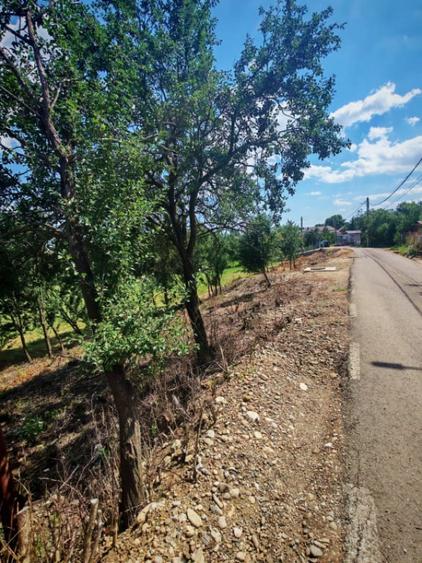 Teren de 7694 mp, în Tureni