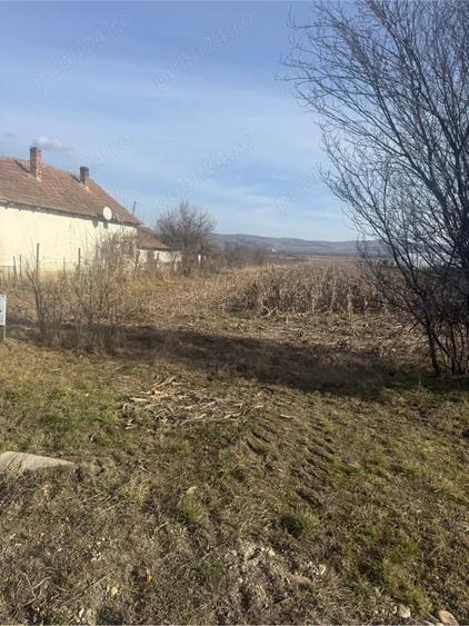 Teren de 5800 mp, în Central