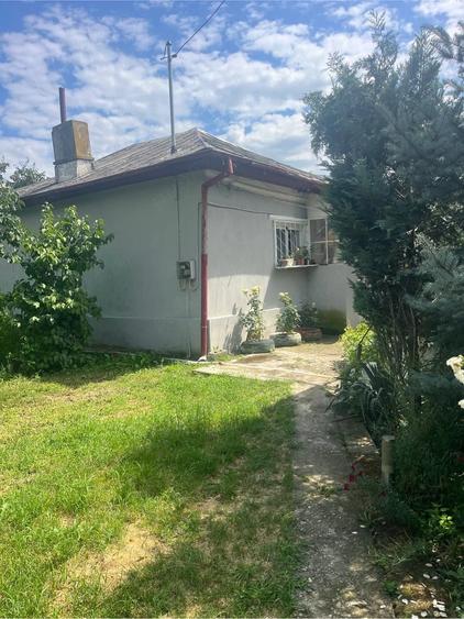casa batraneasca 38km de bucuresti - 5