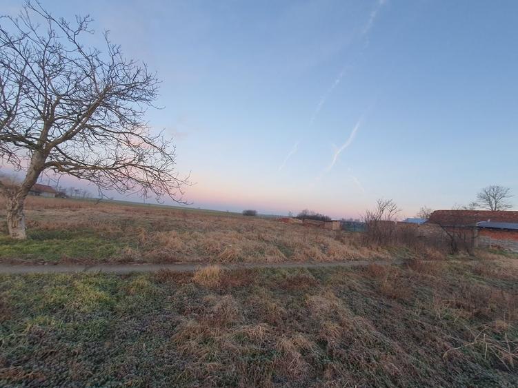 Teren de 1100 mp, în Cenad