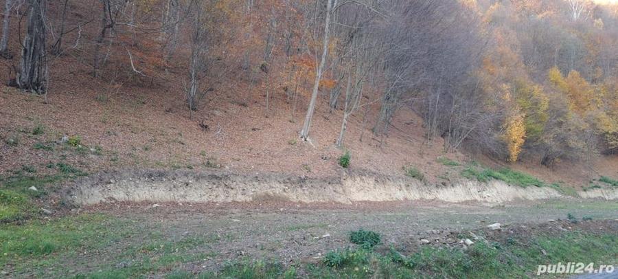 Teren de 9310 mp, în Poiana Mărului
