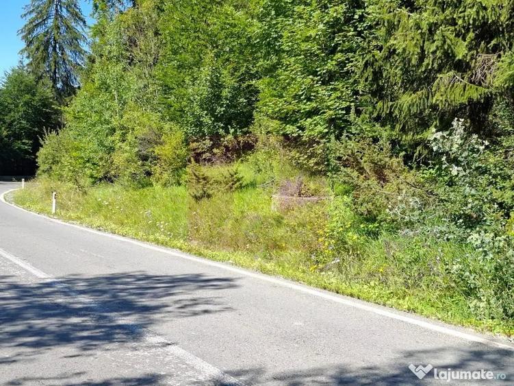 Teren de vanzare in zona Cota 1000 Sinaia - 3