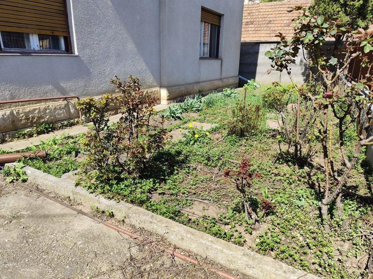 Casă individuală cu 5 camere cu Canalizare în Între Lacuri
