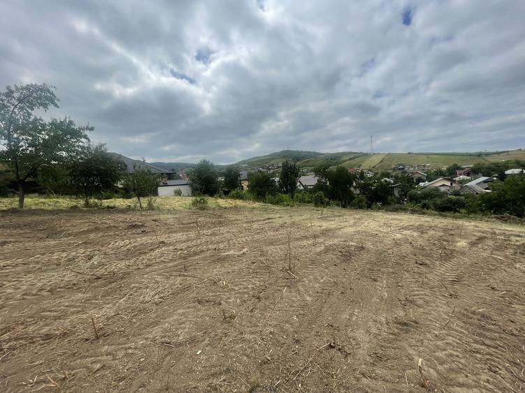 Teren Construcții intravilan de 3600 mp, în Tomești