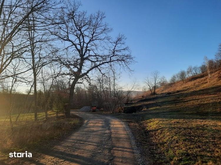 Teren de 17756 mp, în Șinca