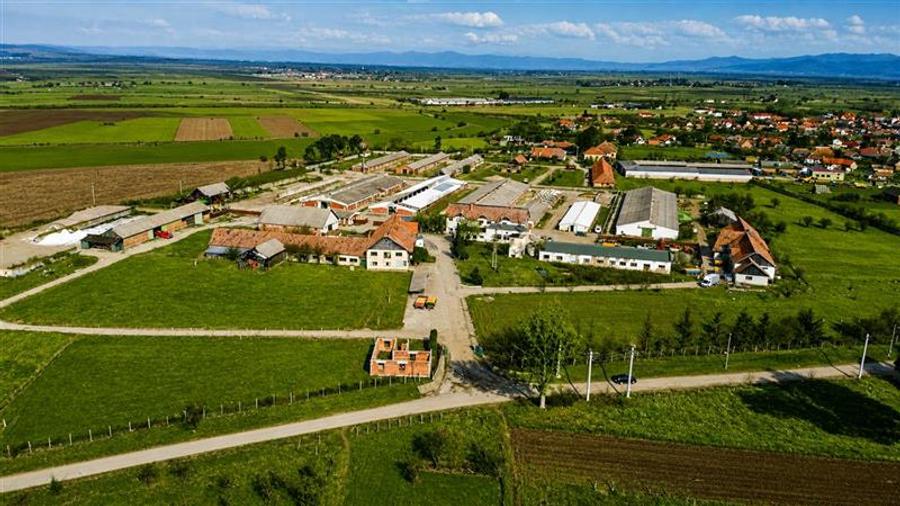 Teren Construcții intravilan de 25391 mp, în Boroșneu Mare