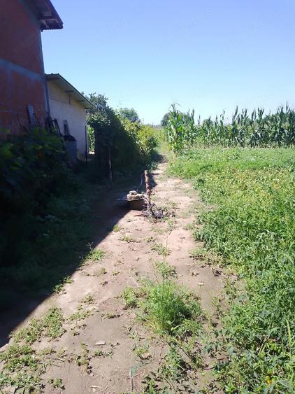 Teren de 1000 mp, în Hotarele