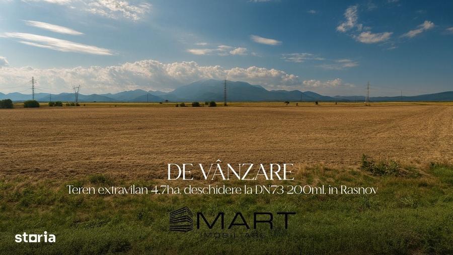 Spațiu comercial, în Primăverii