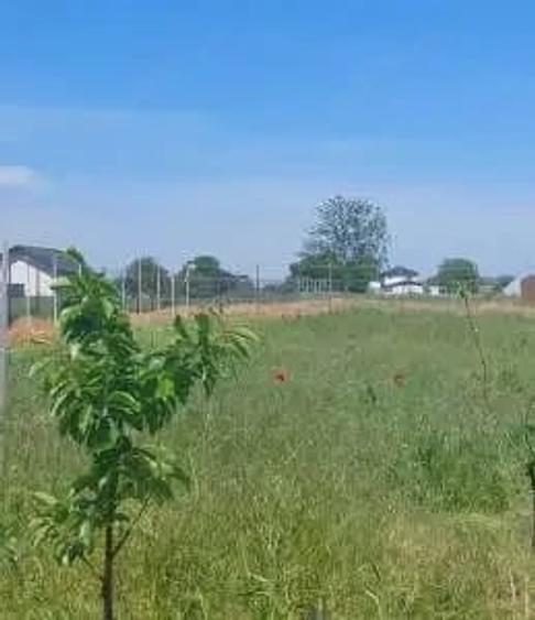 Teren de 1034 mp, în Dumitrana