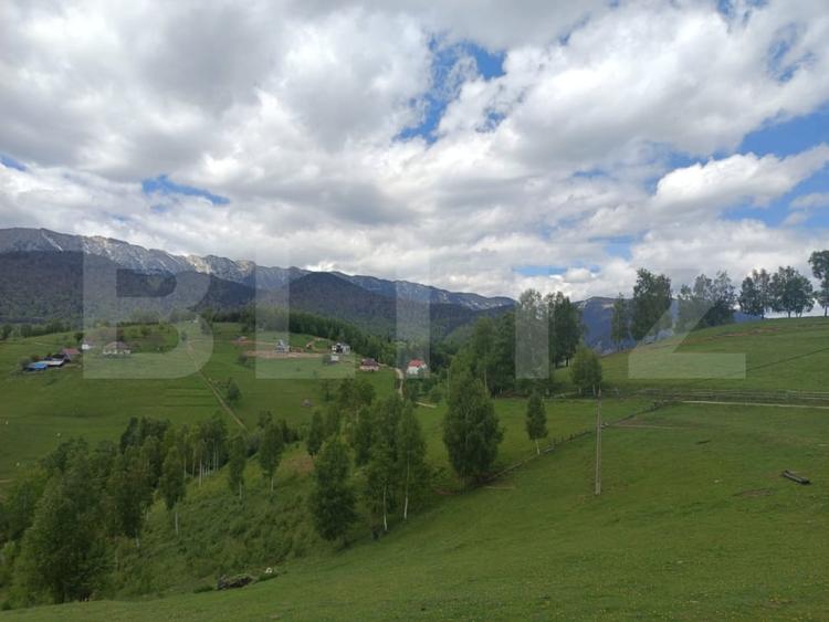 Teren Construcții intravilan de 4649 mp, în Peștera