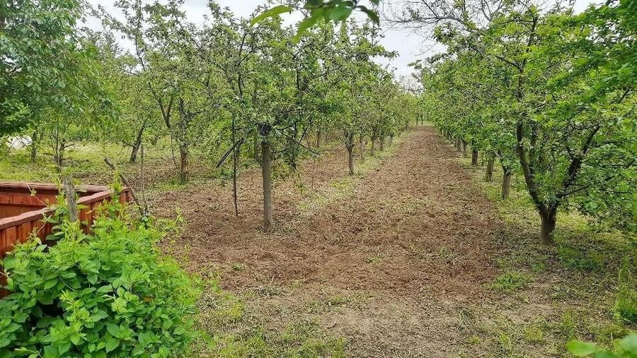 Teren de 1200 mp, în Brădeanca