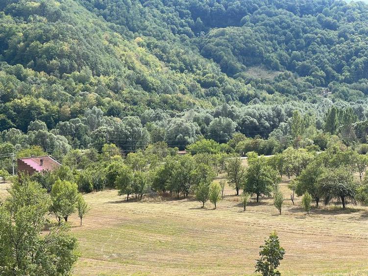 Teren Construcții intravilan de 6354 mp, în Mihăileni