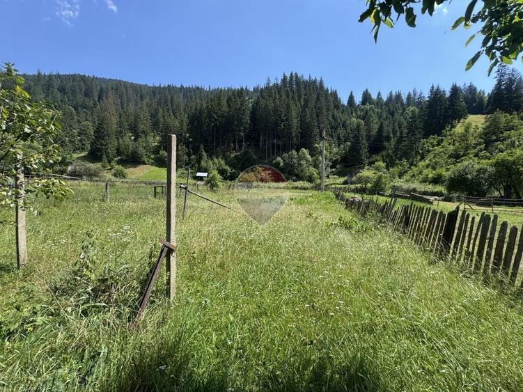 Teren Construcții intravilan de 1342 mp, în Borca