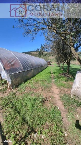 Casă cu 2 camere cu Teren 140000 Mp în Șoimuș