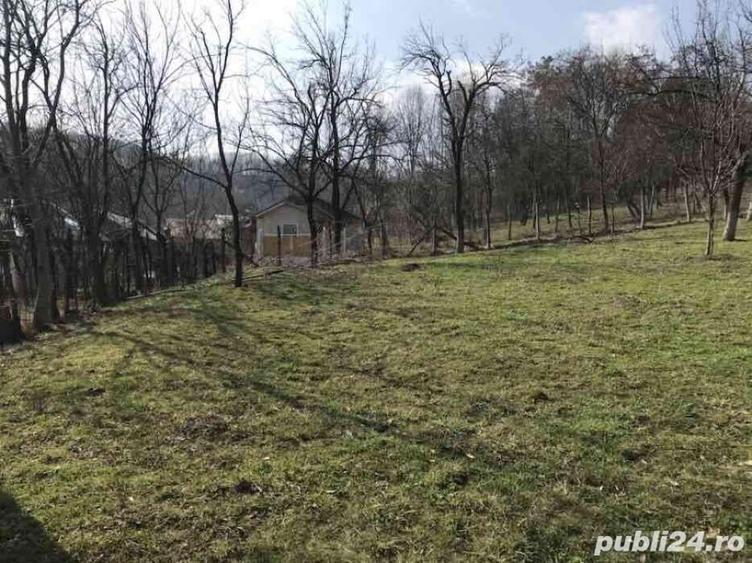 Teren de 1660 mp, în Teișani