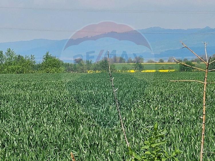 Teren agricol extravilan de 40000 mp, în Nord-Est