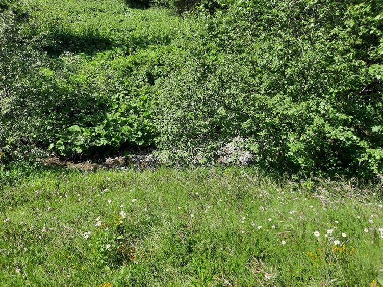 Teren de 3668 mp, în Malul Ursului