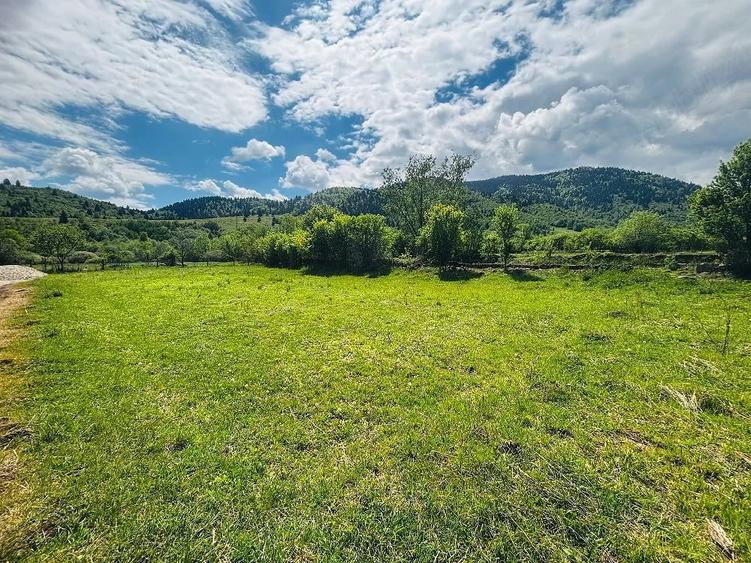 Teren de 1053 mp, în Nucșoara