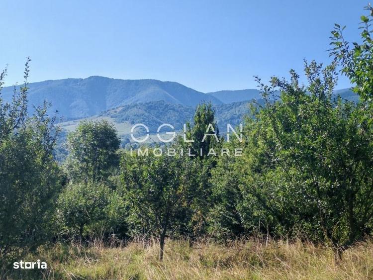 Casă cu 3 camere în Central