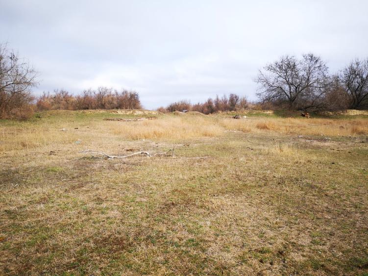 Teren agricol extravilan de 20000 mp, în Tudor Vladimirescu