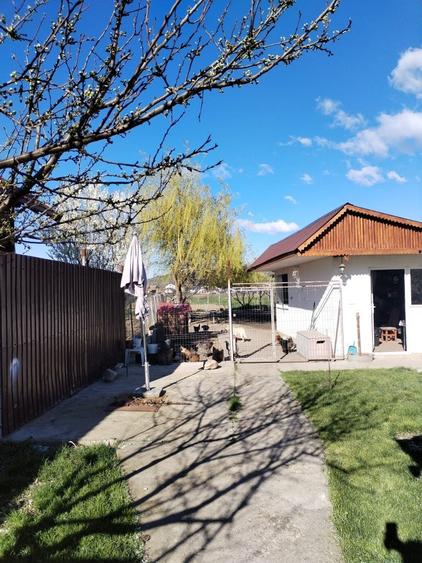 Casă cu 4 camere cu Teren 1600 Mp în Valea Stânii